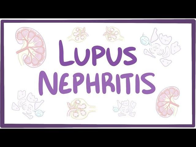 Lupus nephritis - causes, symptoms, diagnosis, treatment, pathology