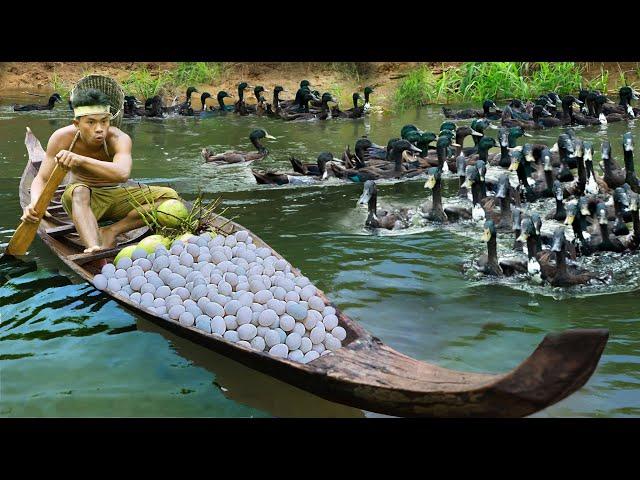 survival in the rainforest find lots of egg duck & cook  duck with coconut Eating delicious