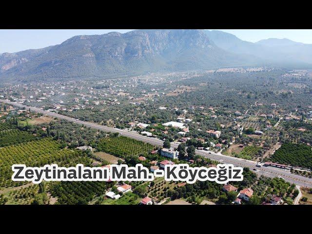 Zeytinalanı Mah. - Köyceğiz - Muğla (Kısa Drone Çekimi) #zeytinalanı #köyceğiz