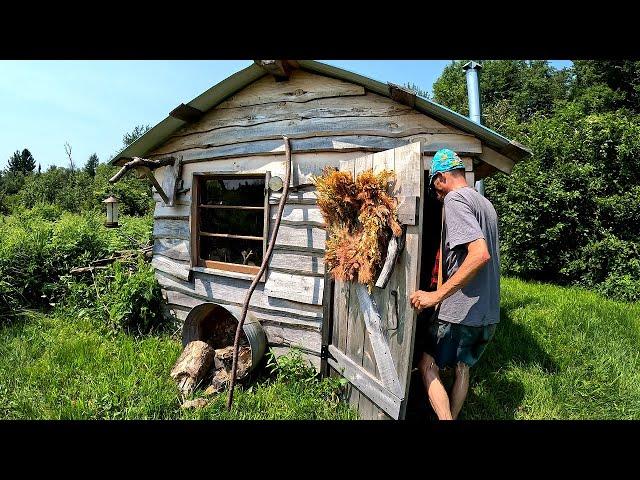 I Abandoned My Tiny Cabin for Months and Came Back to This.