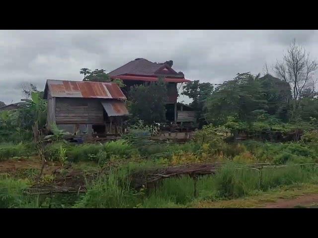 ក្មួយសានឹងប្អូនរ៉ុងដឹកអង្ករចំនួន30ប៊េ