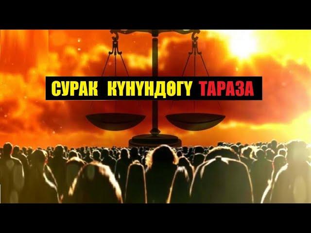 СУРАК КҮНҮНДӨГҮ  ТАРАЗА / котормо