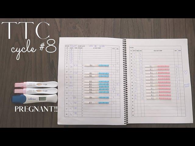 TTC BABY #2 - CYCLE #8 (ovulation + pregnancy tests) POSITIVE CYCLE!!