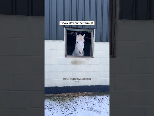 Snow Day on the farm 