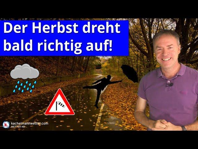 Auf in den Herbst: Tiefs, Regen und viel Wind in der neuen Woche