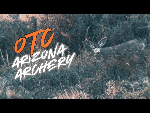 OTC ARIZONA ARCHERY DEER HUNTING