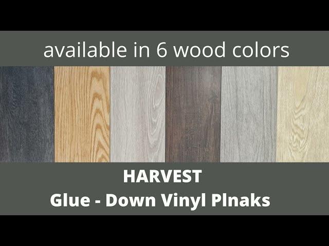 Harvest Glue Down Vinyl Plank by Southwind. 3mm thick with 20 mil wear layer | V - groove edges