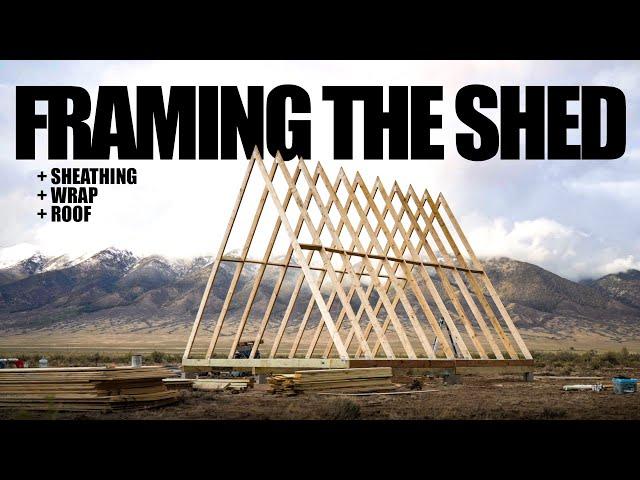 DIY Building My Off-Grid Home: The Shed pt. 1