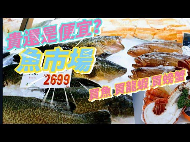 [2023澳洲旅遊] Sydney去哪玩? #雪梨必吃 悉尼必吃  虎蝦超Q彈！ #沒有魚腥味的魚市場 漁港買魚比較便宜嗎？