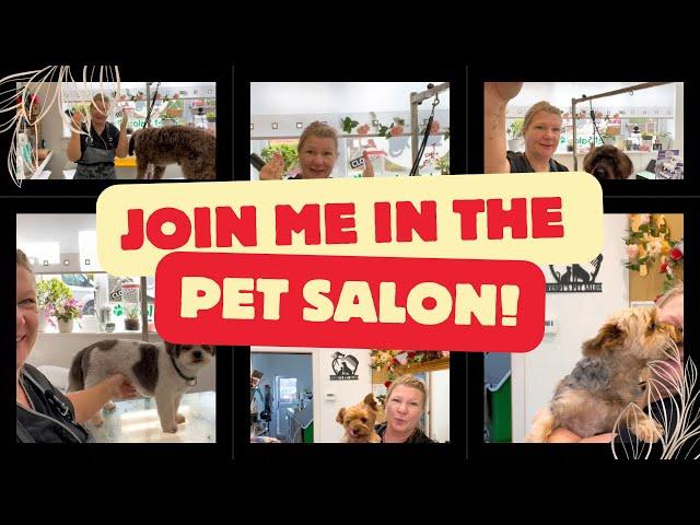 Join me in the pet salon!