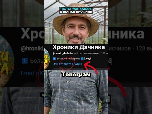 99% дачников неправильно вносят яичную скорлупу #огород #сад #дача #удобрение