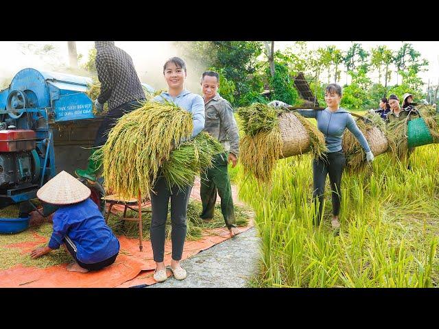 Help Villagers Harvest Rice - The Autumn Rice Crop is Heavy With Grain | Phương - Free Bushcraft