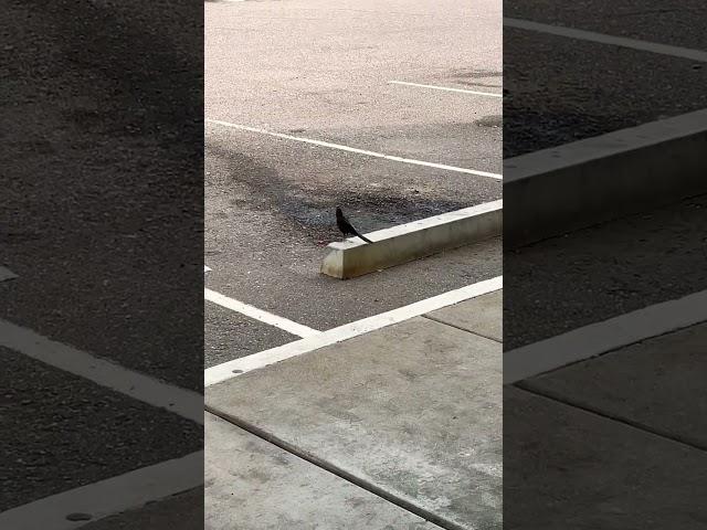 Who do you think you are.