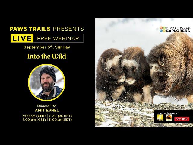 Into the wild with Amit Eshel