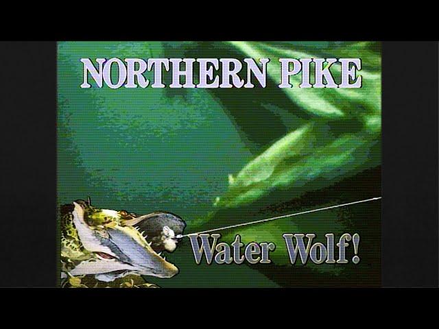 Northern Pike: The Water Wolf! (FULL VIDEO!)