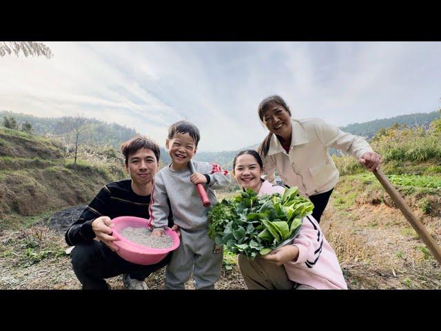  MENANAM SAYUR DIKEBUN DESA TERPENCIL CHINA