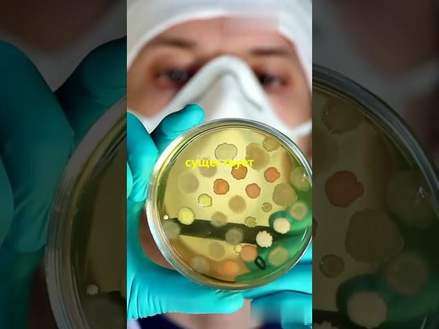 Откройте для себя удивительные научные открытия, о которых вы, возможно, никогда не слышали!