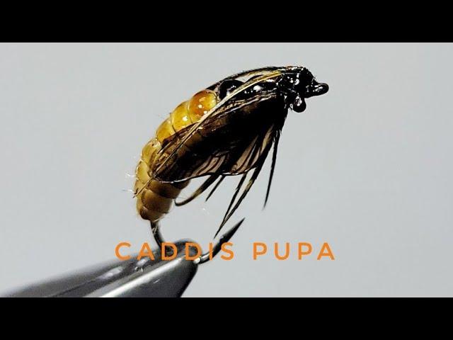 The Ultimate October Caddis Pupa Fly Tying Tutorial