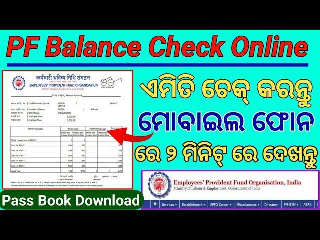 PF Balance Check Online | PF Balance Enquiry Odia | EPF Balance Check Prosess/PF Passbook Download