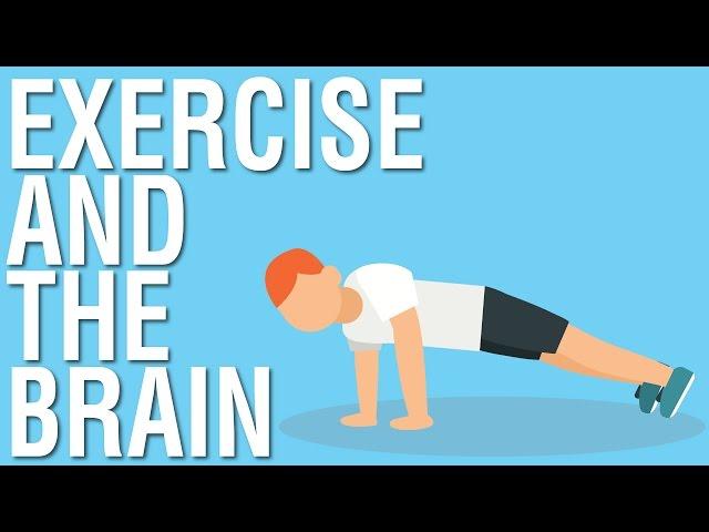 EXERCISE AND THE BRAIN - SPARK BY JOHN RATEY ANIMATED BOOK SUMMARY