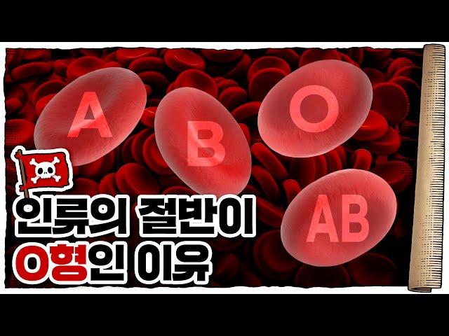  나라마다 혈액형️️️ 비율이 다르다고? /  혈액형은 왜, 어떻게 존재하는 걸까?