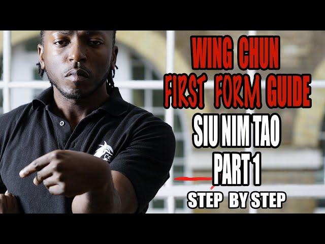 WING CHUN FIRST FORM GUIDE: Siu Nim Tao part 1