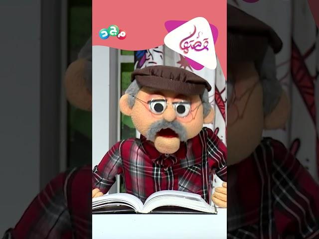 ما هي صفات السيدة فاطمة بنت الخطاب رضي الله عنها؟ 