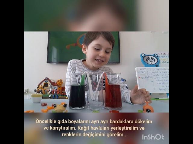 Renklerin Oluşumu Deneyi