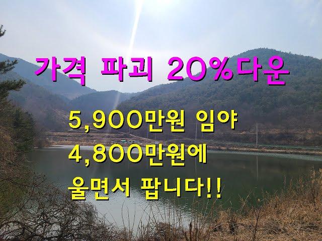 경북 영양군에서 가장 싼 임야 가격1,100만원 낮추어 울면서 팝니다!!