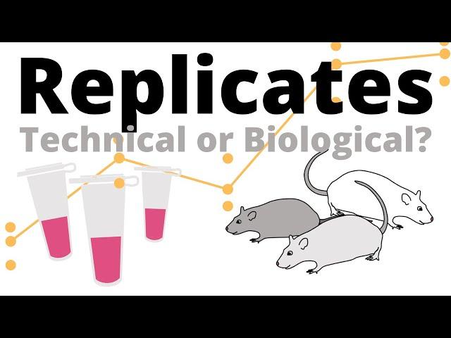 Biological vs Technical Replicates explained