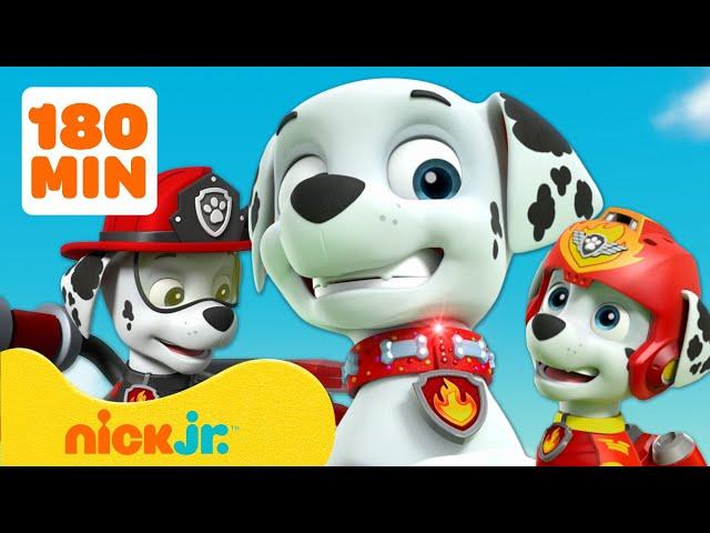 Patrulha Canina | 3 Horas dos Melhores Momentos de Marshall! | Nick Jr. em Português