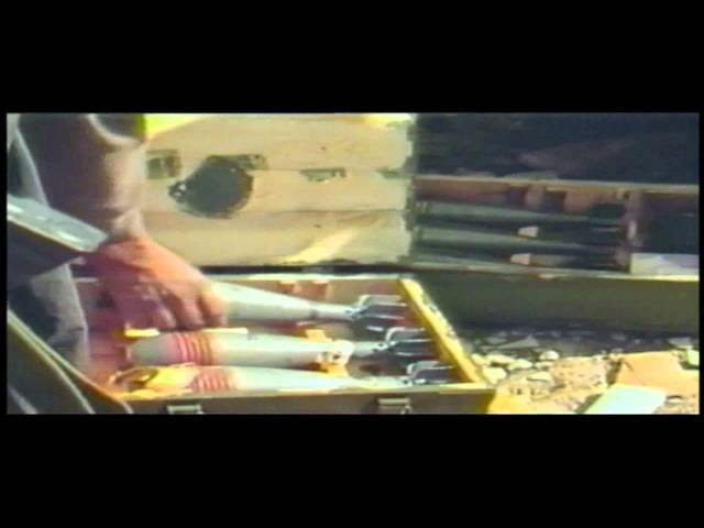 The True Story of Charlie Wilson's War (2007)