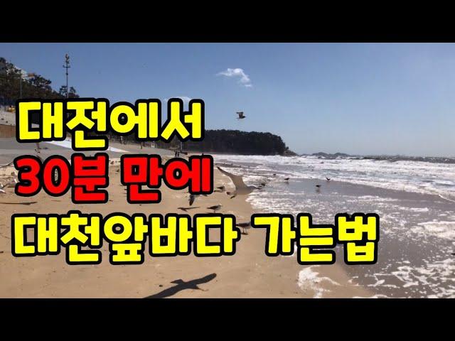 대전에서 30분만에 대천 앞바다 가는 법 / 임영웅도 달리고 싶다?? /  Korean version of Autobahn / Korea's top beach