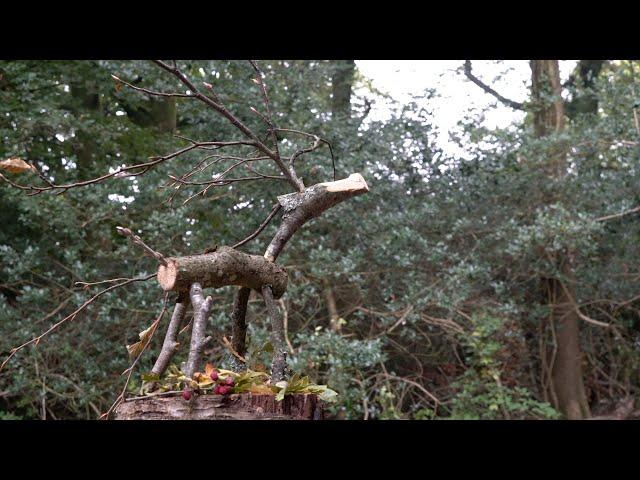 Making a Wooden Reindeer - with Sean Hellman - Old Skills New Ways - For Teachers