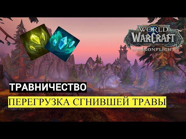 ПЕРЕГРУЗКА СГНИВШЕЙ ТРАВЫ | ТРАВНИЧЕСТВО | World of Warcraft Dragonflight