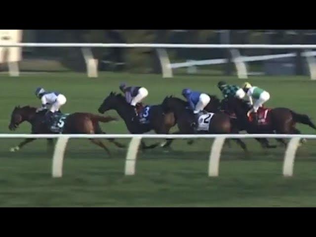 The 2024 Woodbine Mile (G1) Won By Win For The Money | Full Replay