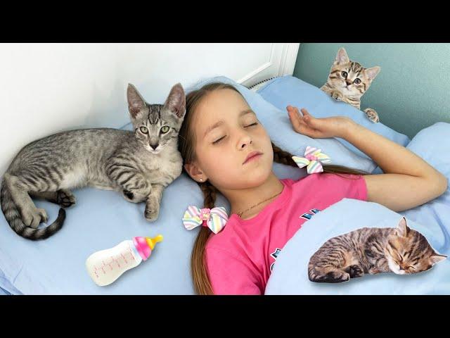 Sofia wants to be a babysitter, but she lost her kittens