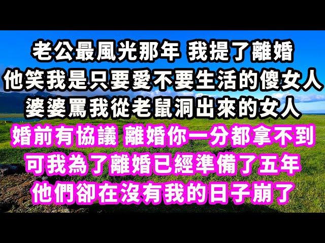 老公最風光那年我提了離婚，他笑我是只要愛不要生活的傻女人，婆婆罵我從老鼠洞出來的女人，婚前有協議，離婚你一分都拿不到，可我為了離婚已經準備了五年，他們卻在沒有我的日子崩了#追妻火葬場#大女主#現實情感