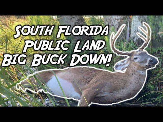 Two South Florida PUBLIC LAND ARCHERY BUCKS in one weekend (SNS 2021 #8)