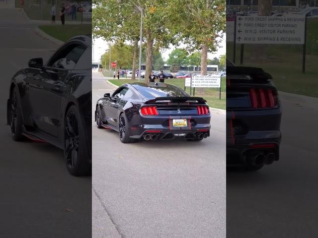 Shelby GT500 in Detroit ️