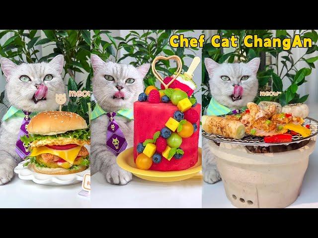 ASMR Enjoy 2023 Best Summer RECIPES With Chef Cat!|Cat Cooking Food|Cute And Funny Cat