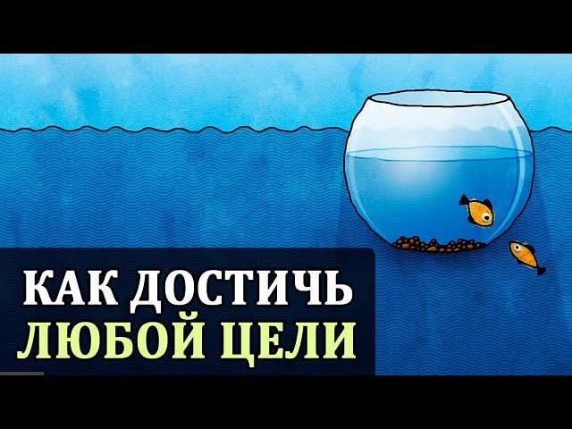 Зона Комфорта. Саморазвитие. Закон Успеха