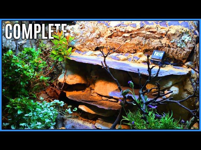 The New Reptile Enclosure is Finished! Bioactive Vivarium Build | How to Set Up a Vivarium #4