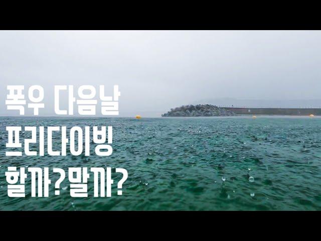 [속초]비온뒤 프리다이빙 갈까? 말까?