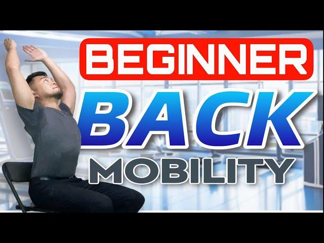 Beginner Back Pain Stretch Flexibility Seated Exercises