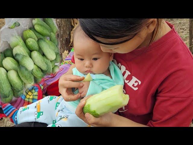 Single mother - Harvesting the first melons of the season, selling well