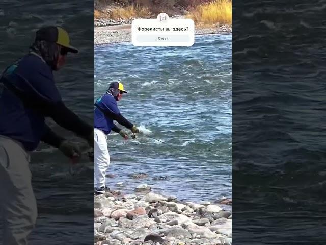 #fishing #troutfishing #river #Kyrgyzstan #nature #wildnature #angler #рыбалка #отдых #Кыргызстан