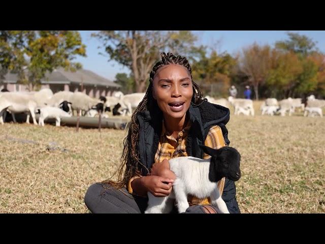 African Farming Season 2 Episode 4: Abel Naphtaly (FULL EPISODE)