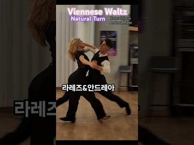 #viennesewaltz practice 슈니트 라레즈&안드레아 비엔나왈츠 내추럴턴 댄스스포츠 50520#RaresAndreea #dancesport #ballroomdance