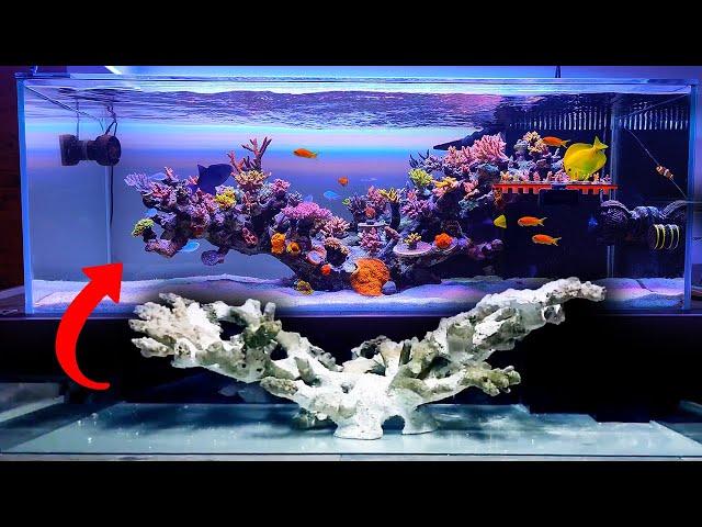 SHALLOW REEF TANK - floating reef aquarium setup - Seafriendlyreef